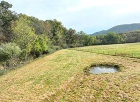 1.50 Ac Hickory Hill Rd, Purgitsville, WV 26852