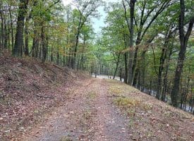 3.64 Ac White Oak Crossing Rd, Moorefield, WV 26836