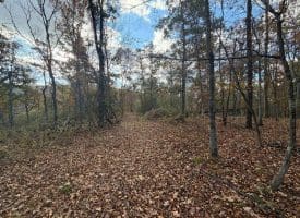 1232 Croston Rd, Paw Paw, WV 25434