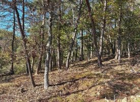 7313 Little Cacapon Rd, Romney, WV 26757