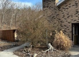 102 Dry Run Rd, Burlington, WV 26710