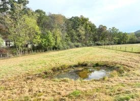 1.50 Ac Hickory Hill Rd, Purgitsville, WV 26852