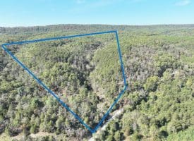 7313 Little Cacapon Rd, Romney, WV 26757