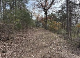 6.92 ACRES – PURGITSVILLE PK, PURGITSVILLE, WV