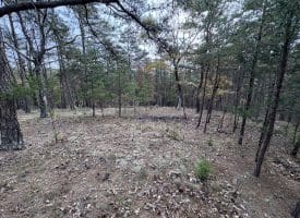 6.92 ACRES – PURGITSVILLE PK, PURGITSVILLE, WV