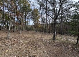 6.92 ACRES – PURGITSVILLE PK, PURGITSVILLE, WV
