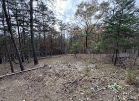 6.92 ACRES – PURGITSVILLE PK, PURGITSVILLE, WV