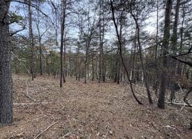 6.92 ACRES – PURGITSVILLE PK, PURGITSVILLE, WV