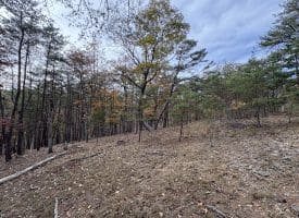 6.92 ACRES – PURGITSVILLE PK, PURGITSVILLE, WV