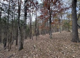6.92 ACRES – PURGITSVILLE PK, PURGITSVILLE, WV
