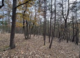 6.92 ACRES – PURGITSVILLE PK, PURGITSVILLE, WV
