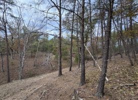 6.92 ACRES – PURGITSVILLE PK, PURGITSVILLE, WV