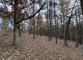 6.92 ACRES – PURGITSVILLE PK, PURGITSVILLE, WV