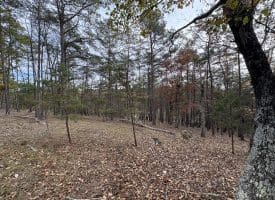 6.92 ACRES – PURGITSVILLE PK, PURGITSVILLE, WV