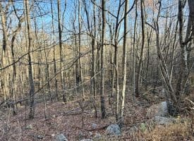 Lot 38 Monongahela Ln, Maysville, WV 26833