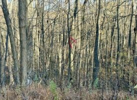 Lot 38 Monongahela Ln, Maysville, WV 26833