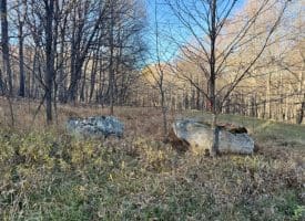 Lot 38 Monongahela Ln, Maysville, WV 26833