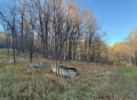 Lot 38 Monongahela Ln, Maysville, WV 26833