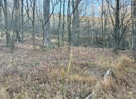 Lot 38 Monongahela Ln, Maysville, WV 26833