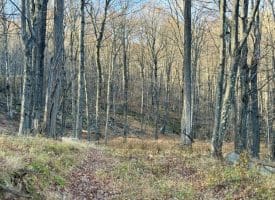 Lot 38 Monongahela Ln, Maysville, WV 26833