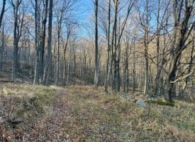 Lot 38 Monongahela Ln, Maysville, WV 26833