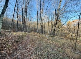 Lot 38 Monongahela Ln, Maysville, WV 26833