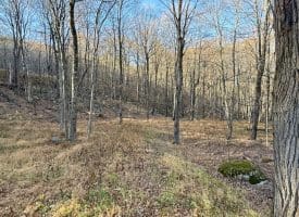 Lot 38 Monongahela Ln, Maysville, WV 26833