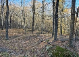 Lot 38 Monongahela Ln, Maysville, WV 26833