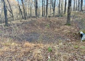 Lot 38 Monongahela Ln, Maysville, WV 26833