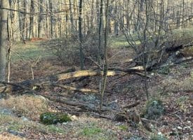 Lot 38 Monongahela Ln, Maysville, WV 26833