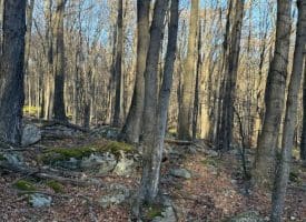 Lot 38 Monongahela Ln, Maysville, WV 26833