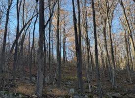 Lot 38 Monongahela Ln, Maysville, WV 26833