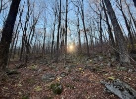 Lot 38 Monongahela Ln, Maysville, WV 26833