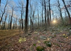 Lot 38 Monongahela Ln, Maysville, WV 26833