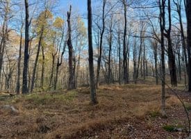 Lot 38 Monongahela Ln, Maysville, WV 26833