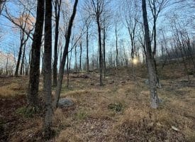 Lot 38 Monongahela Ln, Maysville, WV 26833