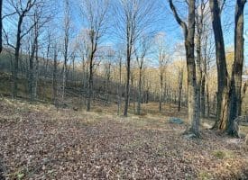 Lot 38 Monongahela Ln, Maysville, WV 26833