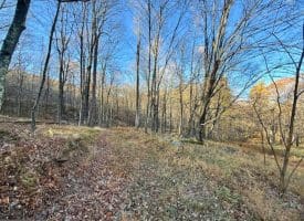 Lot 38 Monongahela Ln, Maysville, WV 26833