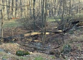 Lot 38 Monongahela Ln, Maysville, WV 26833