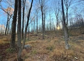 Lot 38 Monongahela Ln, Maysville, WV 26833