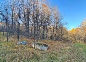 Lot 38 Monongahela Ln, Maysville, WV 26833