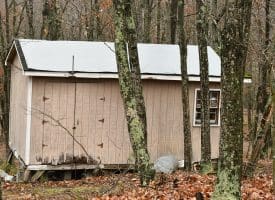 239 Bird Ridge Road, Springfield, WV 26763