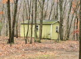 239 Bird Ridge Road, Springfield, WV 26763