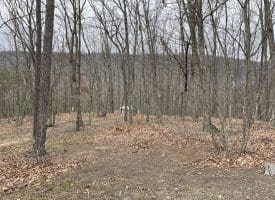 9.50 AC BIRD RIDGE ROAD, SPRINGFIELD, WV 26763