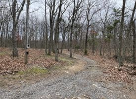 9.50 AC BIRD RIDGE ROAD, SPRINGFIELD, WV 26763