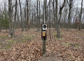 9.50 AC BIRD RIDGE ROAD, SPRINGFIELD, WV 26763