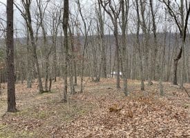 9.50 AC BIRD RIDGE ROAD, SPRINGFIELD, WV 26763