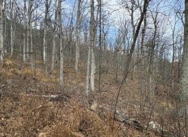 10.03 AC Dove Drive, Paw Paw, WV 25434