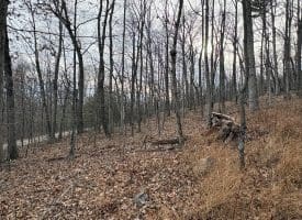 10.03 AC Dove Drive, Paw Paw, WV 25434