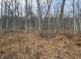 10.03 AC Dove Drive, Paw Paw, WV 25434